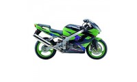 Purchase 2002-2003 Kawasaki ZX9R Fairings Canada