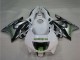 1995-1996 Honda CBR600 F3 Motorcycle Fairings - White Silver Green Hannspree Canada