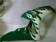 2006-2007 Honda CBR1000RR Motorcycle Fairings - White Green Flame Canada
