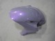 2004-2005 Honda CBR1000RR Motorcycle Fairings - Chameleon Grey Dazz Pearl Purple Canada