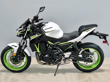 Purchase 2020-2023 Kawasaki Ninja Z650 Motorcycle Fairings - White Black Green Canada