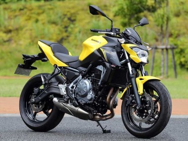 Purchase 2017-2019 Kawasaki Ninja Z650 Motorcycle Fairings - Yellow Black Canada