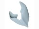 2020-2021 Ducati Panigale V4 V4S Motorcycle Fairings - Unpainted Canada