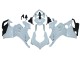 2020-2021 Ducati Panigale V4 V4S Motorcycle Fairings - Unpainted Canada
