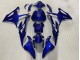 2023-2024 BMW S1000RR Motorcycle Fairings - Glossy Dark Blue Canada