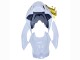 2019-2022 BMW S1000RR Motorcycle Fairings - White Gold Canada