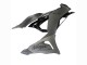 2023-2026 Kawasaki ZX6R Motorcycle Fairings - Grey Ninja Canada