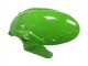 2023-2026 Kawasaki ZX6R Motorcycle Fairings - Green Black Canada