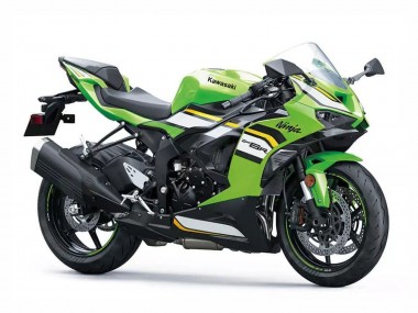 Purchase 2023-2025 Kawasaki ZX6R Motorcycle Fairings - Green White Black Ninja Canada