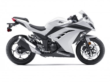 Purchase 2013-2017 Kawasaki EX300 Motorcycle Fairings - White Black Canada
