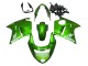 1996-2007 Honda CBR1100XX Blackbird Motorcycle Fairing - Green Canada