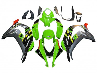 Purchase 2016-2020 Kawasaki ZX10R Motorcycle Fairings - Green Red Grey Canada