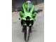 2021-2026 Kawasaki ZX10R Motorcycle Fairings - Green Glossy Black Canada