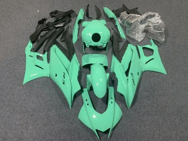 Purchase 2022-2024 Yamaha YZF R3/R25 Motorcycle Fairings - Light Green Canada