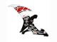 2002-2003 Yamaha YZF 1000 R1 Motorcycle Fairings - White Red Black Castrol Canada