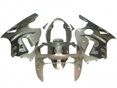 Purchase 2002-2006 Kawasaki ZX12R Motorcycle Fairings - Silver Black Canada