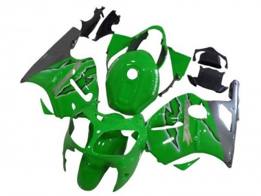 Purchase 2002-2006 Kawasaki ZX12R Motorcycle Fairings - Green Silver Canada