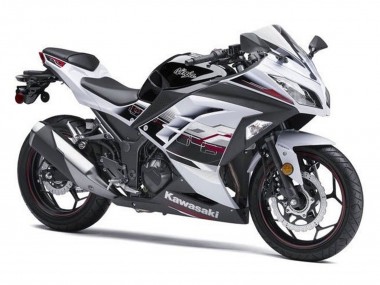 Purchase 2013-2017 Kawasaki EX300 Motorcycle Fairings - White Black Red Accents Canada