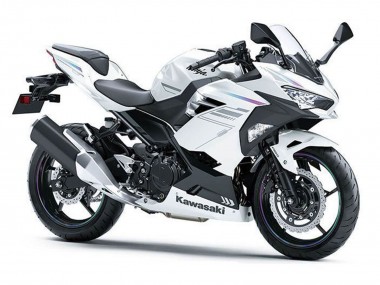 Purchase 2018-2024 Kawasaki Ninja 400 Motorcycle Fairings - Pearl White Blizzard Canada