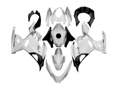 Purchase 2018-2024 Kawasaki Ninja 400 Motorcycle Fairings - White Silver Black Canada
