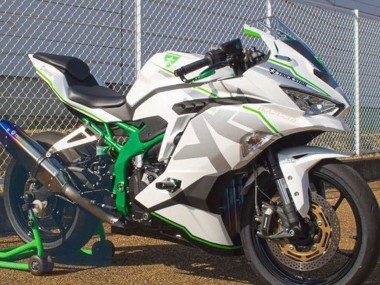 Purchase 2019-2025 Kawasaki ZX25R ZX-25R Motorcycle Fairings - White Silver Green Canada