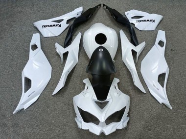 Purchase 2019-2025 Kawasaki ZX25R ZX-25R Motorcycle Fairings - White Matte Black Canada