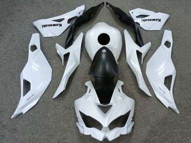 Purchase 2019-2025 Kawasaki ZX4R ZX-4RR Motorcycle Fairings - White Matte Black Canada