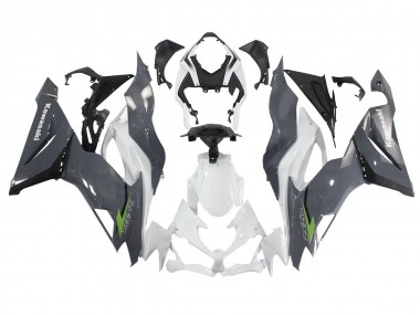 Purchase 2019-2022 Kawasaki ZX6R Motorcycle Fairings - White Grey Green Canada