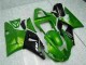 Purchase 2000-2001 Green Yamaha YZF R1 Motorcyle Fairings Canada Purchase 2000-2001 Green Yamaha YZF R1 Motorcyle Fairings Canada